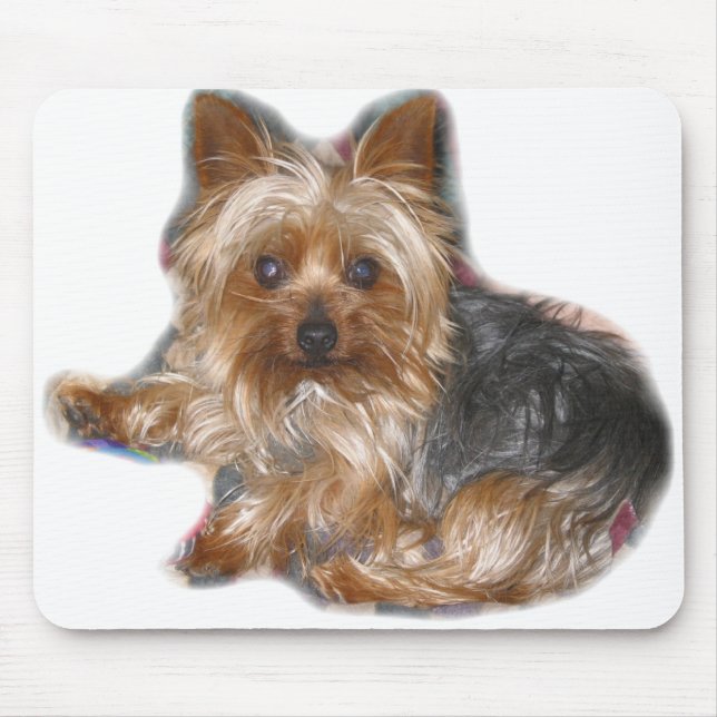 Cujo Mousepad (Front)