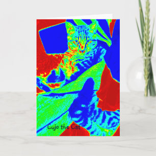 Cujo the Cat Technicolour Holiday Card