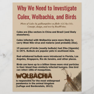 Culex, Wolbachia, and Birds by RoseWrites Flyer