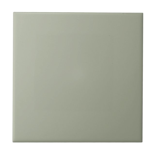 Culinary Clary Sage Square Kitchen and Bathroom Ceramic Tile (Front)