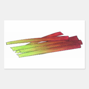 Culinary Rhubarb Stalks Vegetable Garden Food Veg Rectangular Sticker