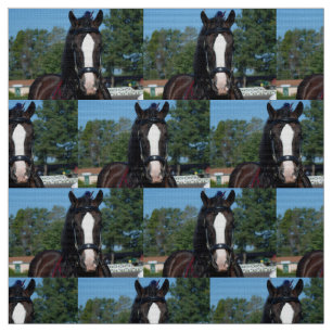 culpeper va draught   horse show fabric
