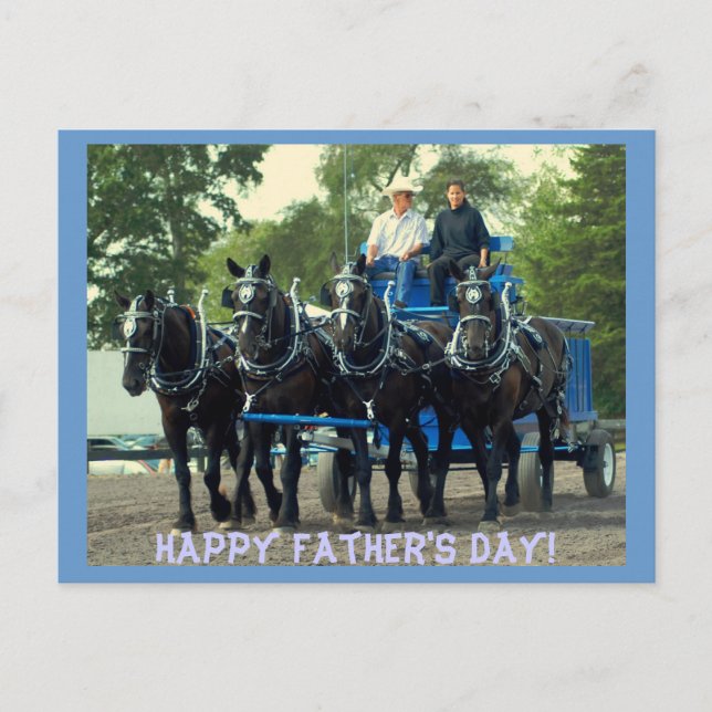 culpeper va draught horse show postcard (Front)