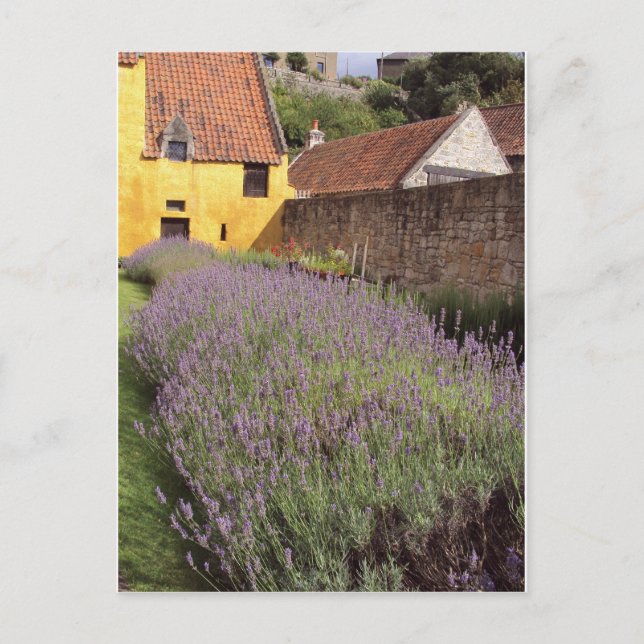 Culross Palace - The Front Garden Postcard (Front)