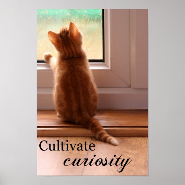 Cultivate Curiosity extra small poster (Front)