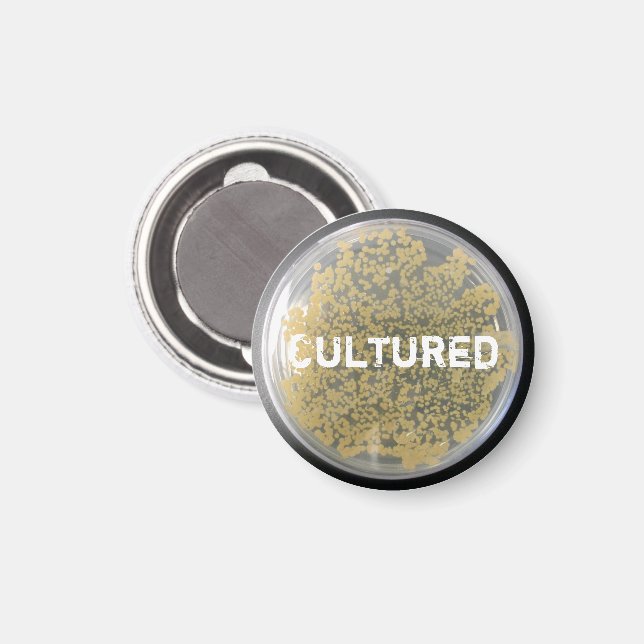 "Cultured" Bacteria Culture Plate Magnet (Front/Back)