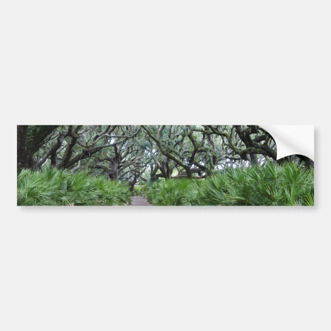 Cumberland Island Bumper Sticker (Front)