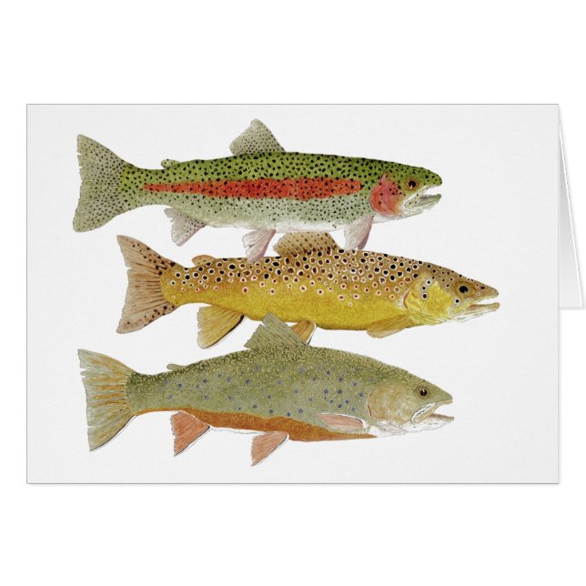 Cumberland Valley Trout Unlimited Card (Front Horizontal)