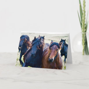 Cumbrian Fell Ponies Card