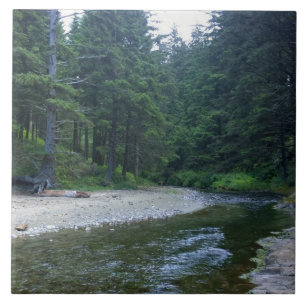 Cummins Creek at Neptune State Park, OR Ceramic Tile