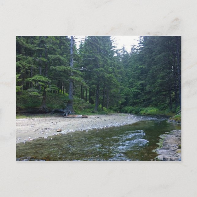 Cummins Creek at Neptune State Park, OR Postcard (Front)