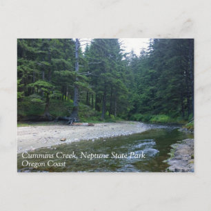 Cummins Creek at Neptune State Park, OR Postcard
