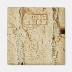 Cuneiform script on a palace wall magnet