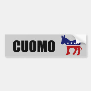 CUOMO 2010 BUMPER STICKER
