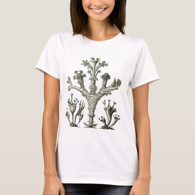 Cup Lichen T-Shirt (Front)