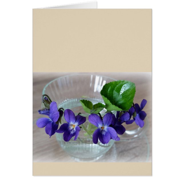 cup of violets (Front)