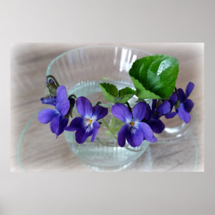 cup of violets poster