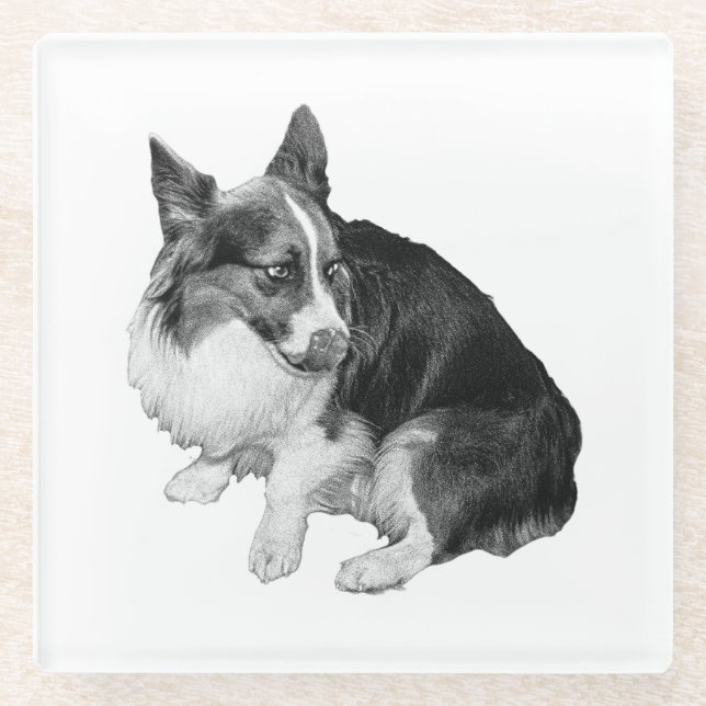 Cup Perch, Foxy Friend Glass Coaster (Front)