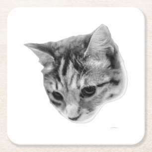 Cup Rest with Whiskers Square Paper Coaster