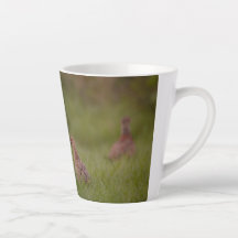 Cup with sweet hen pheasant and chicks