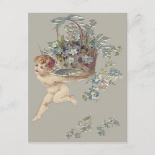 Cupid Cherub Angel Forget-Me-Not Postcard (Front)