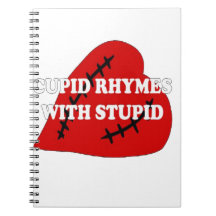 Cupid Rhymes With Stupid