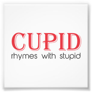 Cupid Rhymes with Stupid Photo Print