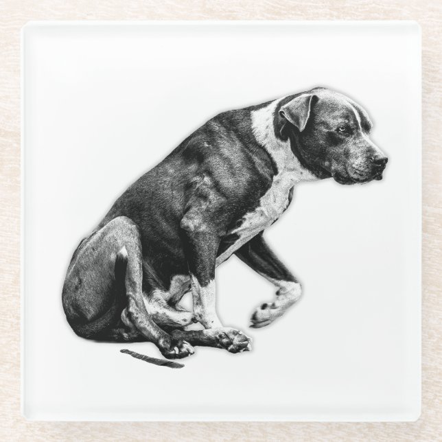 Cupside Companion – Paused Posture Glass Coaster (Front)