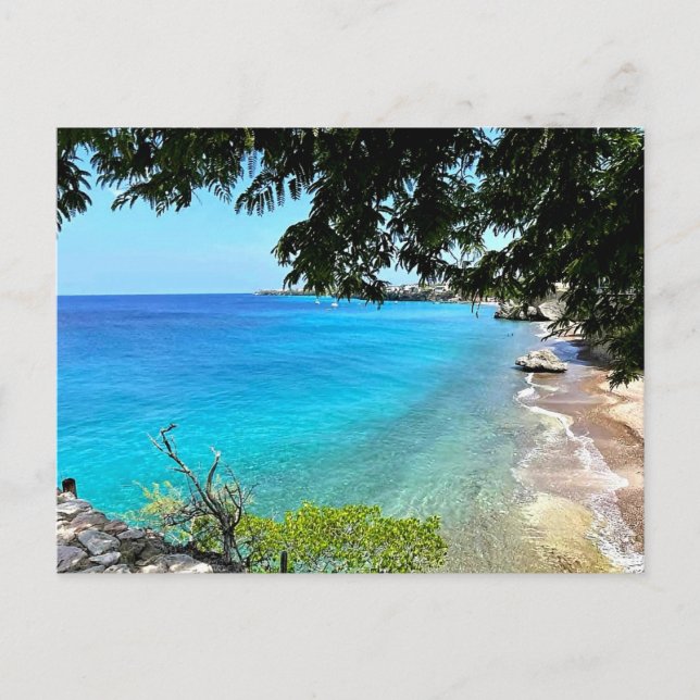 Curaçao Vacation Postcard (Front)