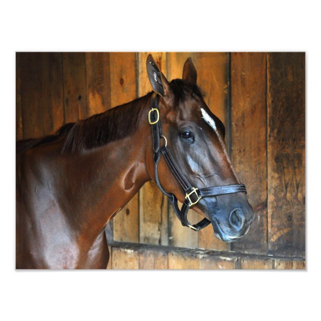 Curalina Photo Print (Front)