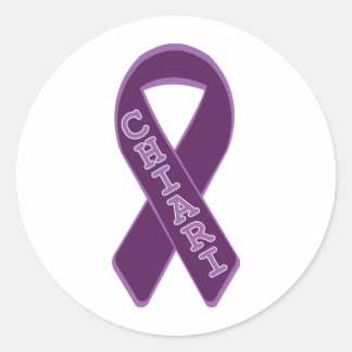 Cure Chiari Now Classic Round Sticker