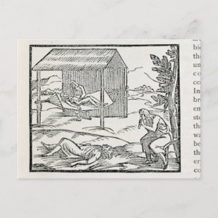 Curing the Sick, Natives of Hispaniola Postcard