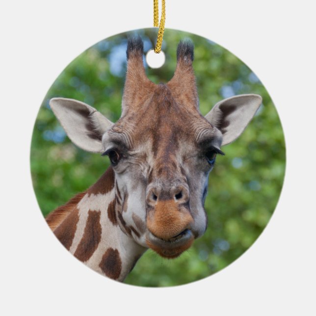Curios Giraffe Ceramic Tree Decoration (Front)