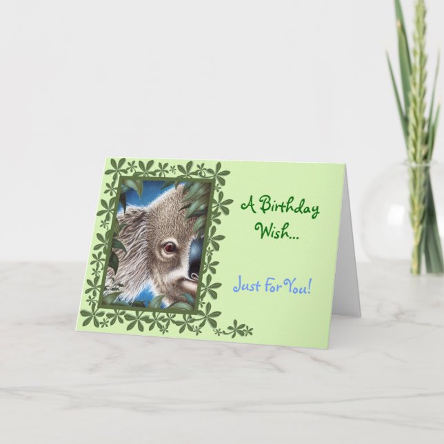 Curios Koala Birthday Card (Front)