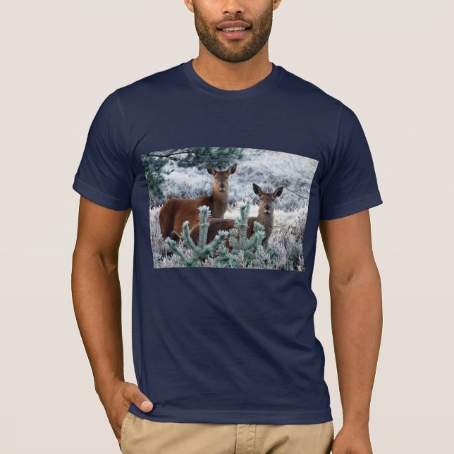 curiosity deer T-shirt (Front)