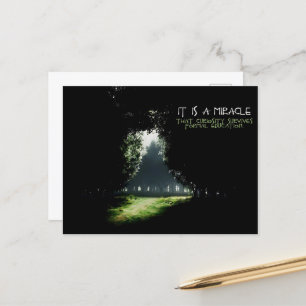 "Curiosity" Inspirational Quote Postcard