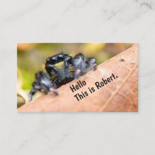 Curiosity Intrigued Hello (Original Image) © Business Card