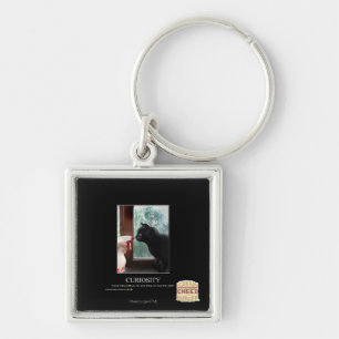 Curiosity Key Ring