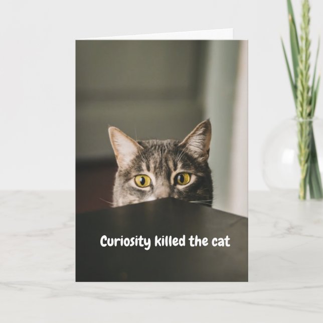Curiosity Killed The Cat Card (Front)