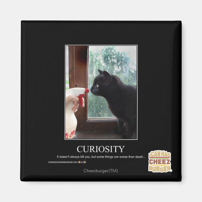 Curiosity Magnet (Front)