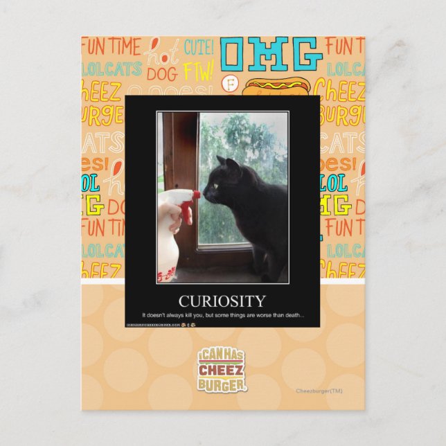 Curiosity Postcard (Front)