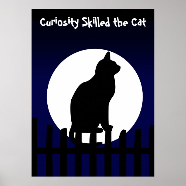 Curiosity Skilled the Cat Poster (Front)