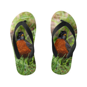 Curious American Robin Songbird in the Grass Kid's Thongs