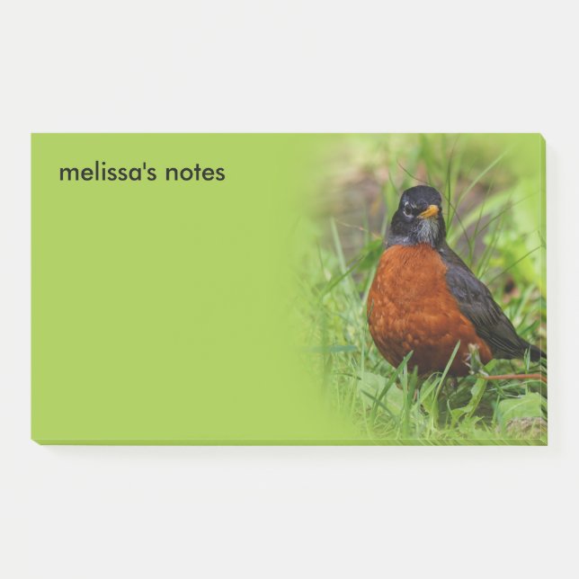 Curious American Robin Songbird in the Grass Post-it Notes (Front)