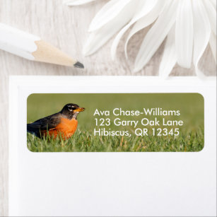 Curious American Robin Songbird in the Grass Return Address Label