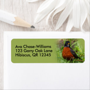 Curious American Robin Songbird in the Grass Return Address Label