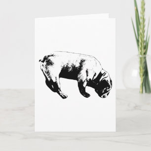 Curious Arc, Graphic Wish Card