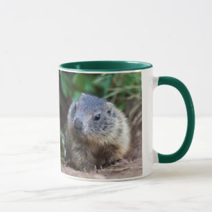 Curious Baby Marmot Mug