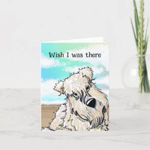 Curious Beach Wheaten Terrier Card