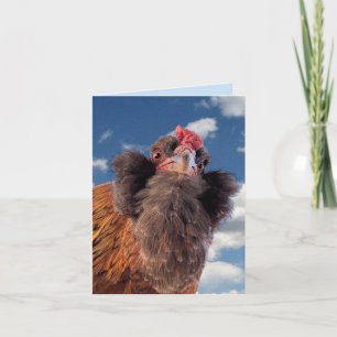 Curious Bearded Chicken Head Close-Up  Card